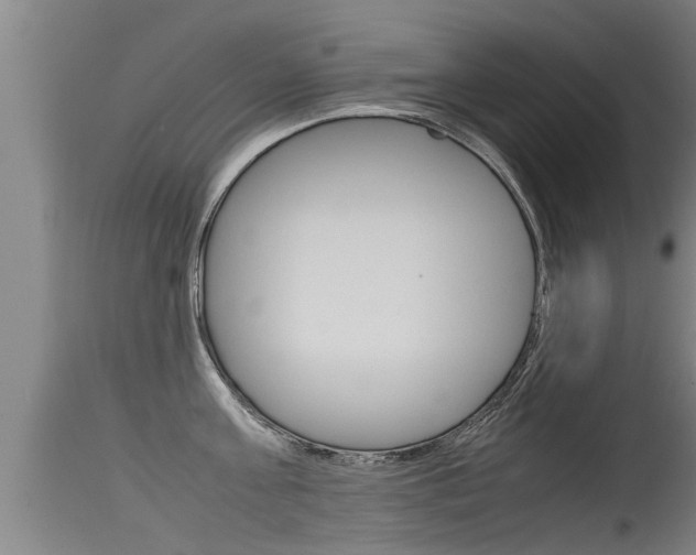 X0000115760811200911130958