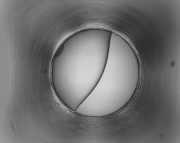 X0000115760815200911130958