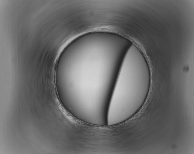 X0000115760816200911130958