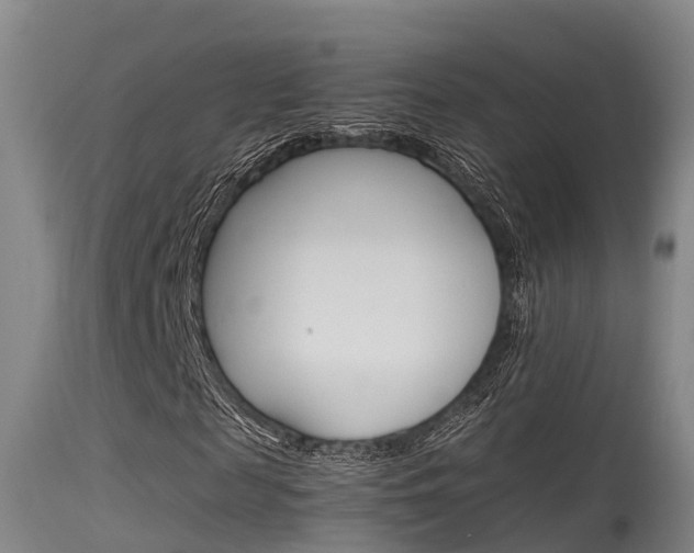 X0000115760817200911130957