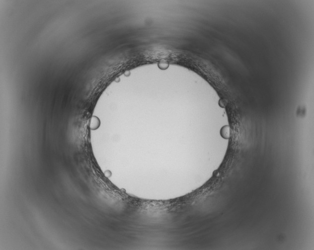 X0000115760820200911130958