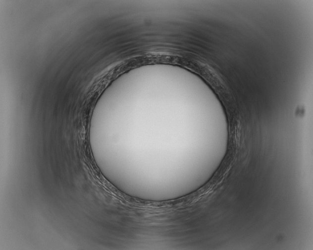 X0000115760821200911130958
