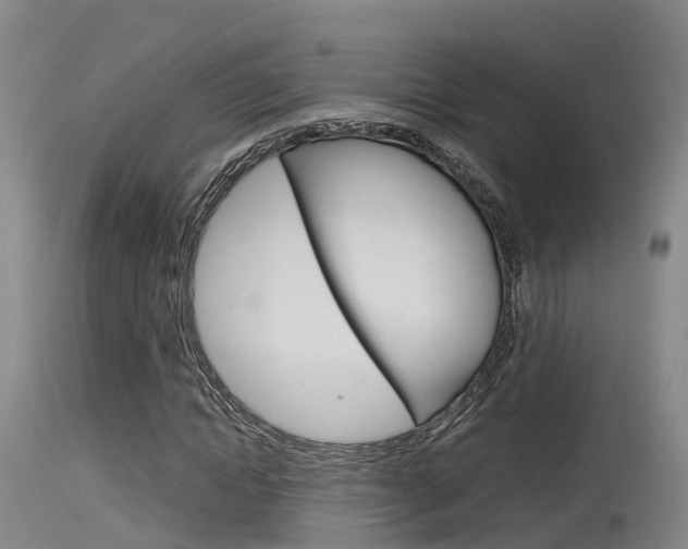 X0000115760822200911130958