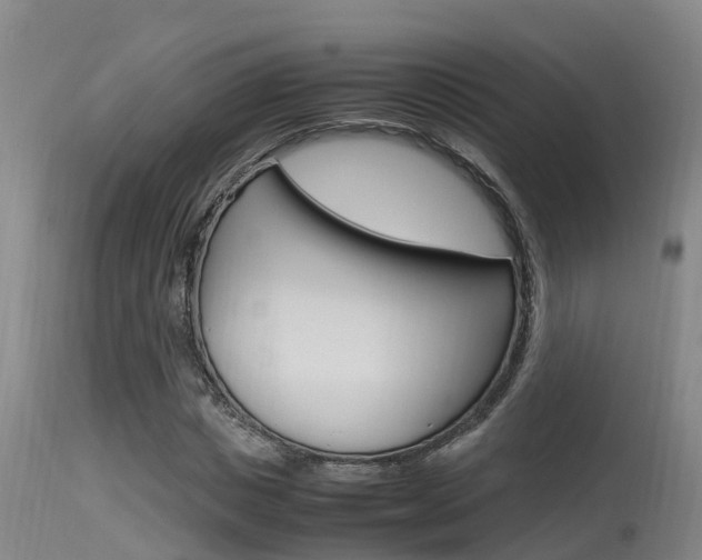 X0000115760825200911130958