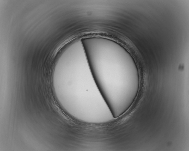 X0000115760826200911130958