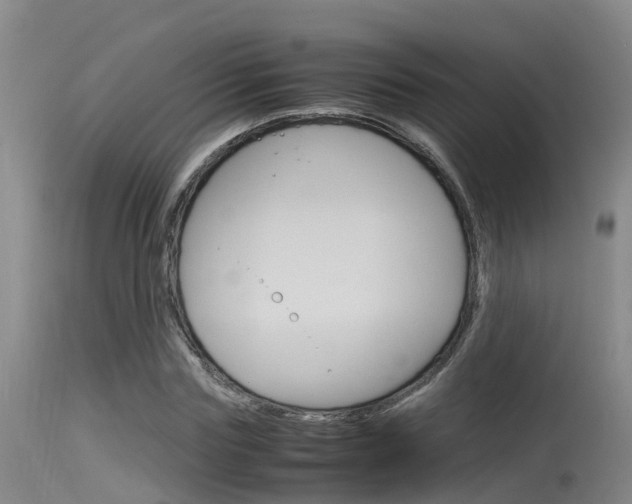 X0000115760827200911130958