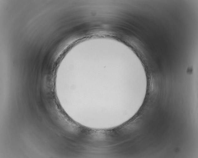 X0000115760828200911130958