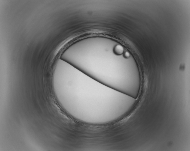 X0000115760829200911130958