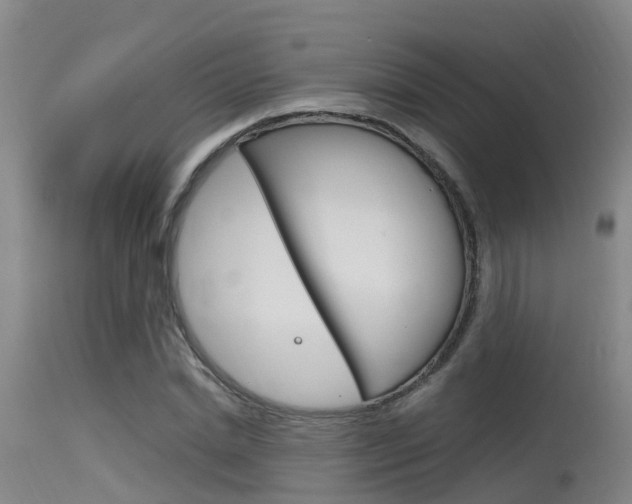 X0000115760830200911130958