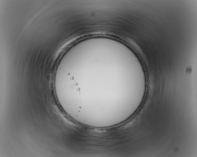 X0000115760831200911130958