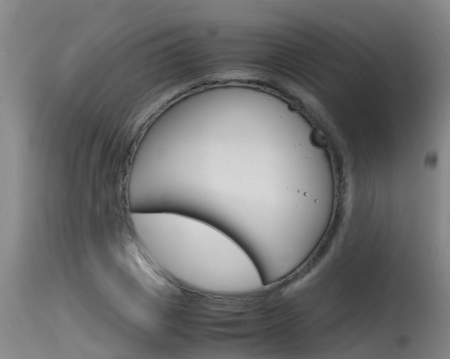X0000115760833200911130958