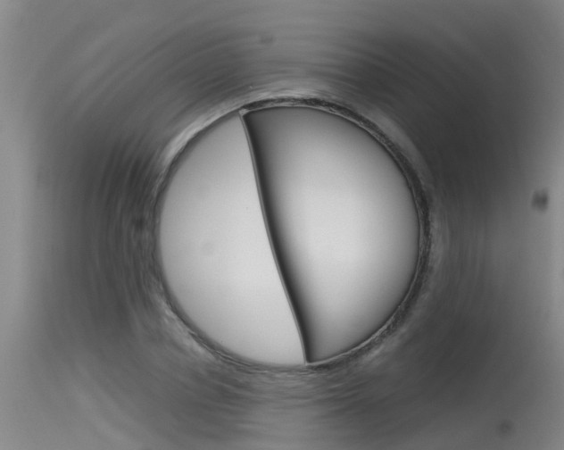 X0000115760834200911130958