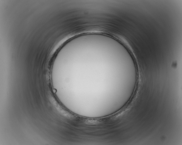 X0000115760835200911130958
