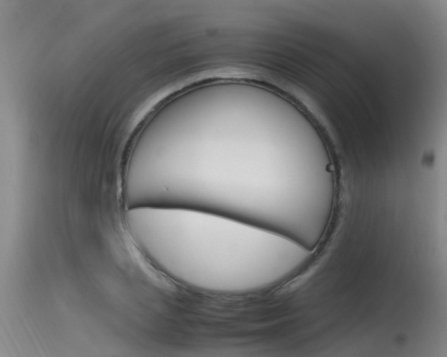 X0000115760837200911130958