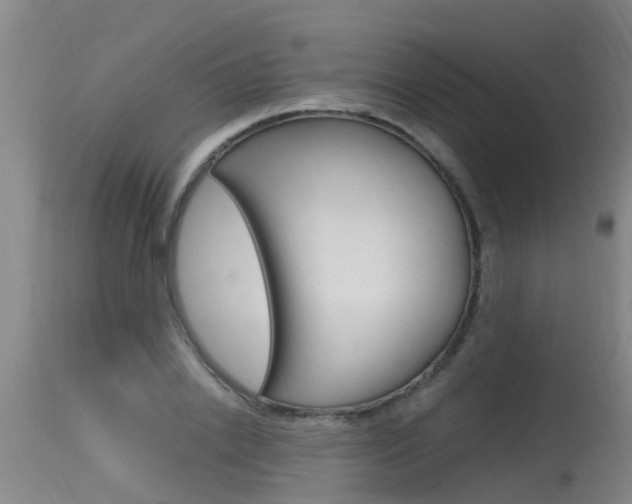 X0000115760838200911130958