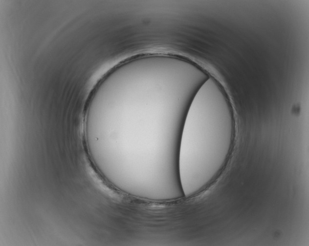 X0000115760839200911130958