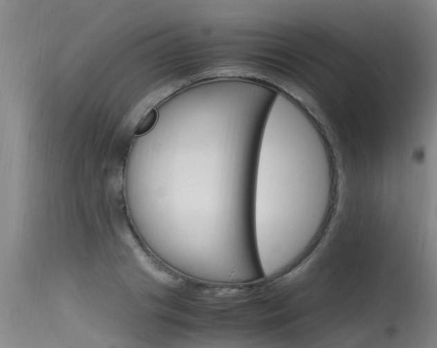 X0000115760841200911130958