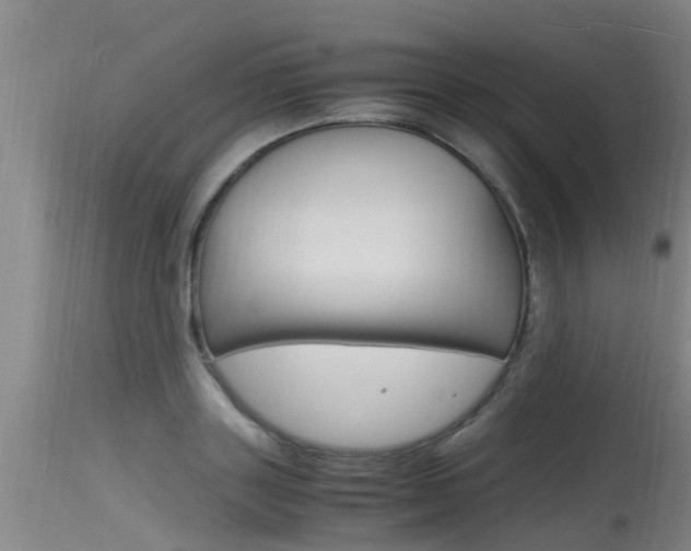 X0000115760843200911130958