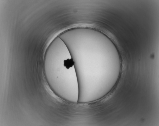 X0000115760844200911130958