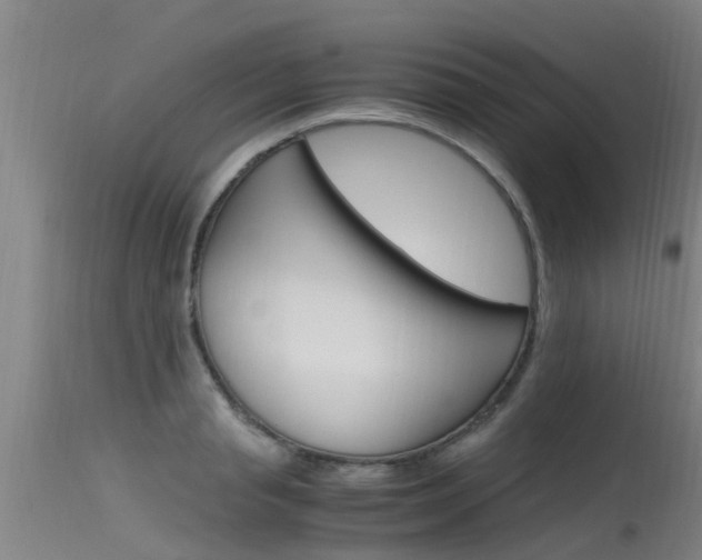 X0000115760845200911130958
