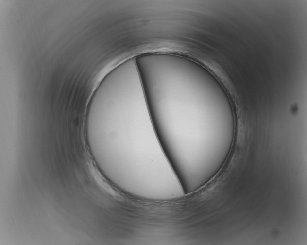 X0000115760850200911130958