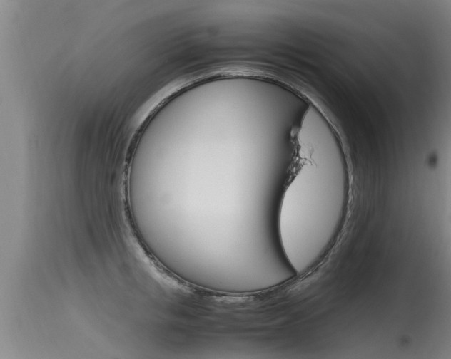X0000115760853200911130958