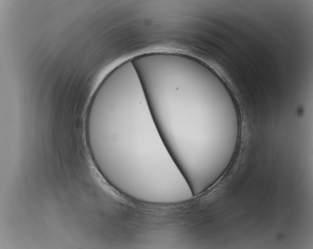X0000115760854200911130958