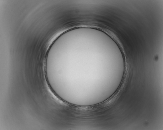 X0000115760855200911130958