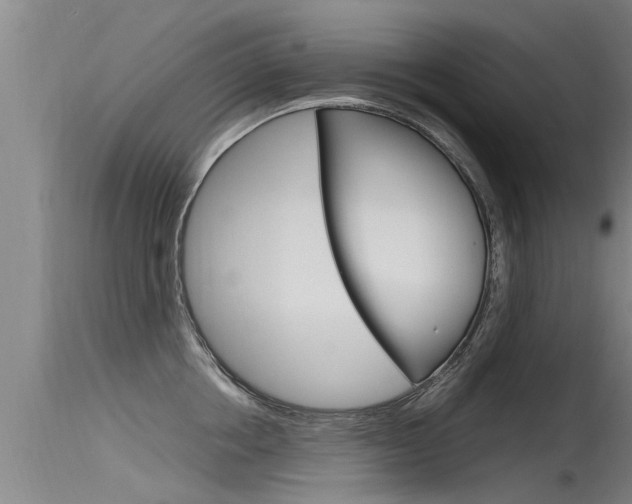X0000115760858200911130958