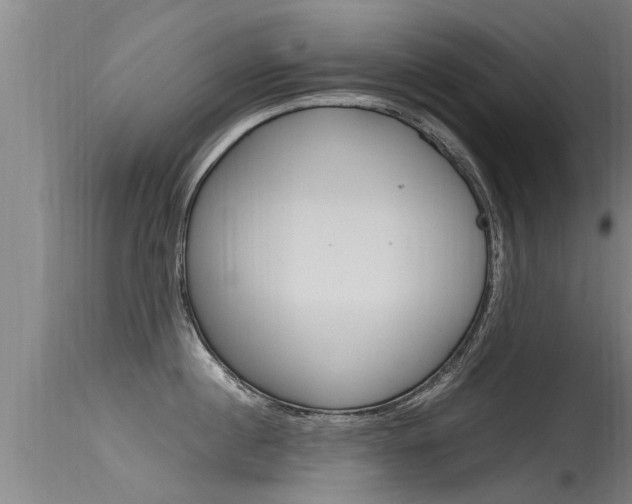 X0000115760860200911130958