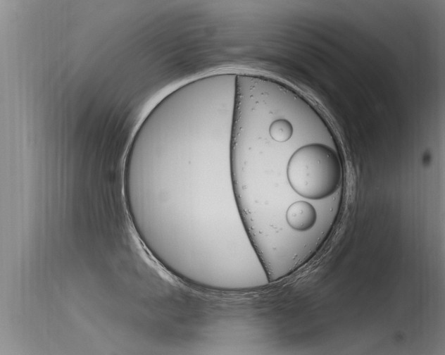 X0000115760862200911130958