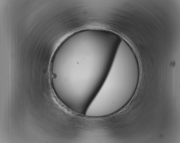 X0000115760864200911130958