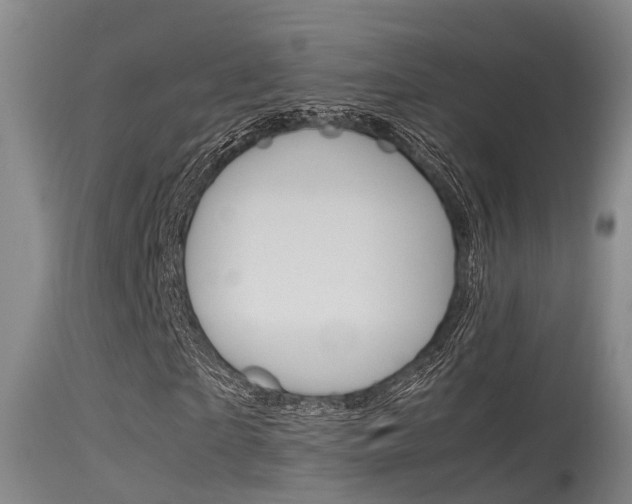 X0000115760865200911130957