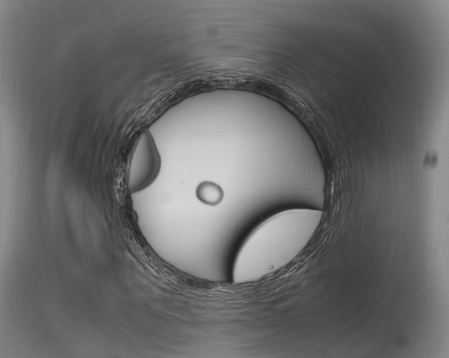 X0000115760867200911130957