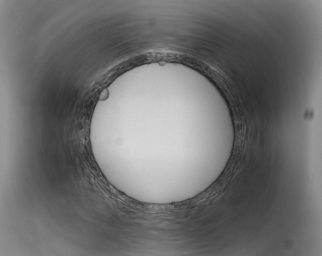 X0000115760870200911130957