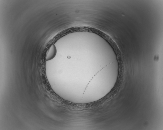 X0000115760871200911130957