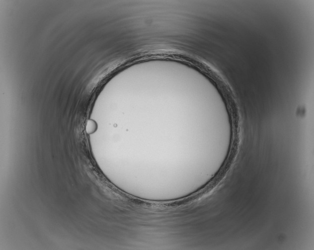 X0000115760873200911130957