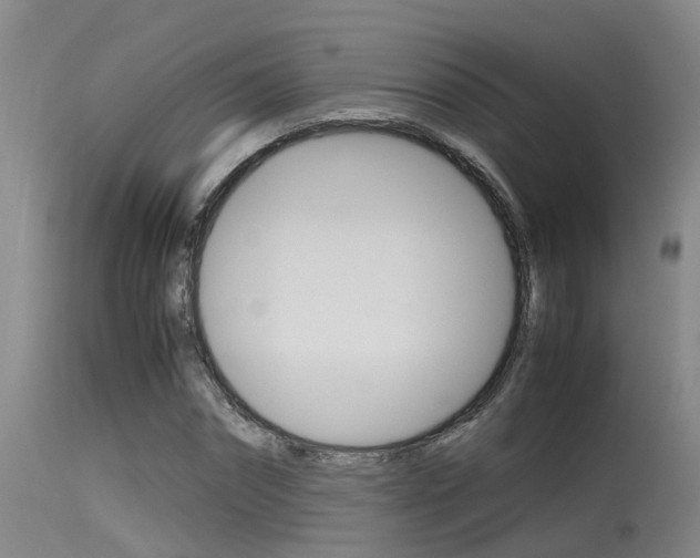 X0000115760874200911130957