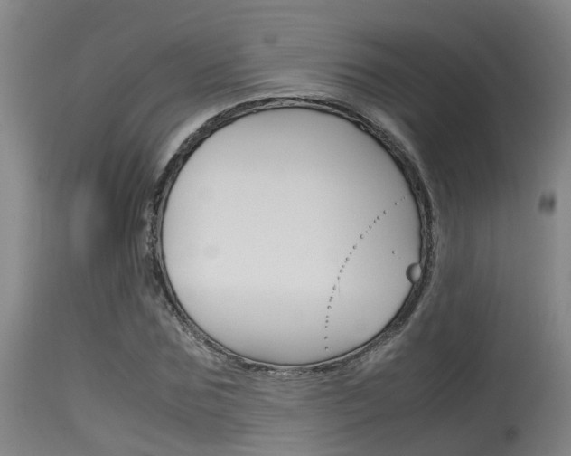 X0000115760875200911130957