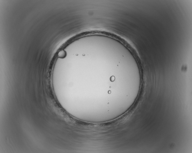 X0000115760879200911130957