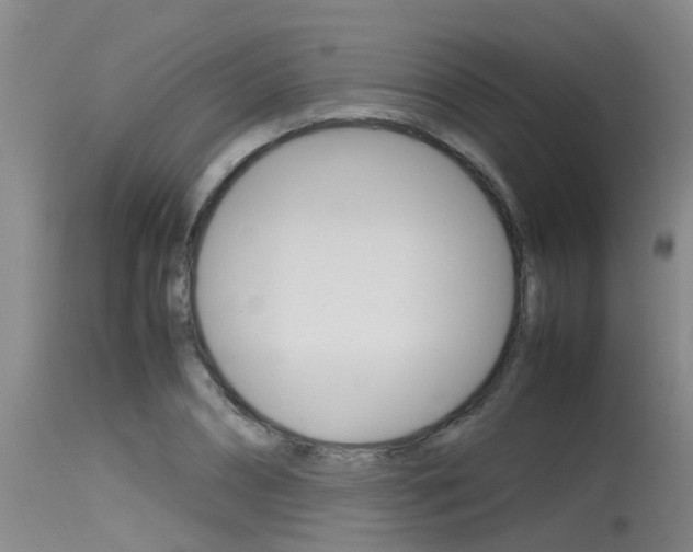 X0000115760882200911130957