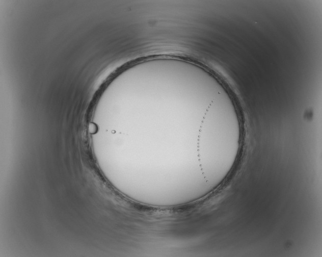 X0000115760883200911130957