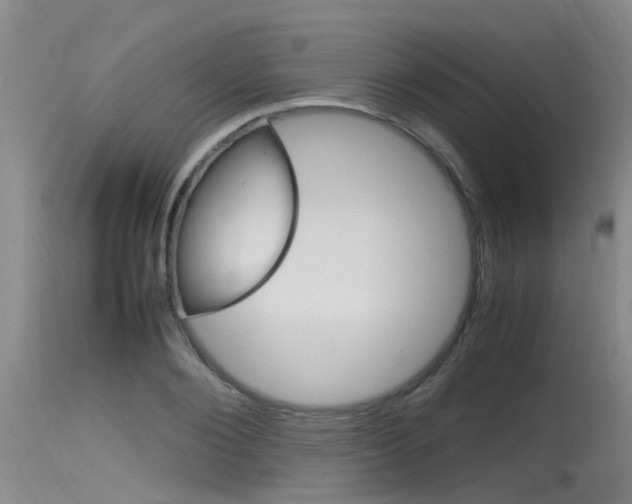 X0000115760884200911130957