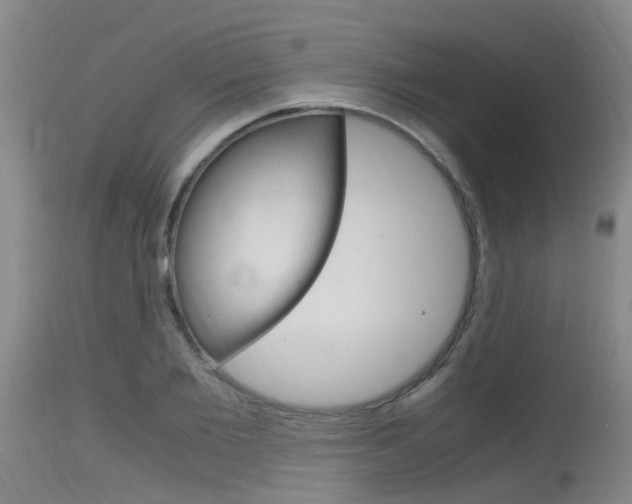 X0000115760885200911130957