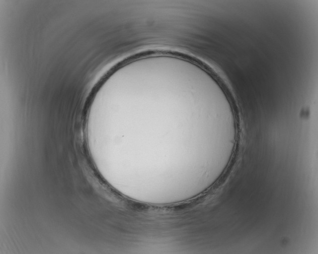 X0000115760887200911130957