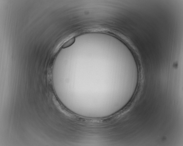 X0000115760889200911130957