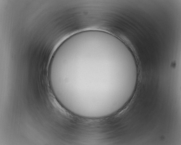 X0000115760892200911130957