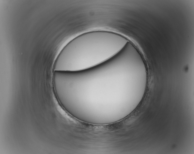 X0000115760903200911130957