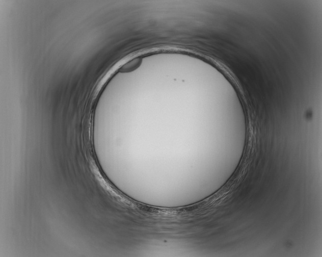 X0000115760911200911130957