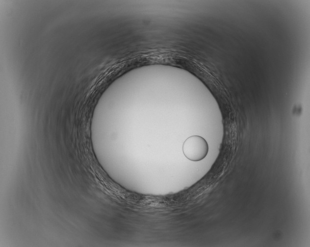 X0000115760913200911130956